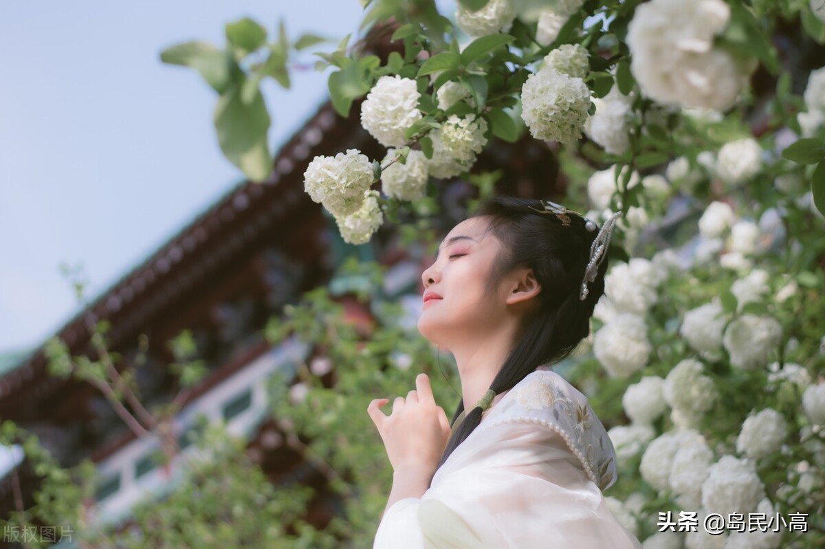 地产形式_地产 生活方式_地产生活方式广告语